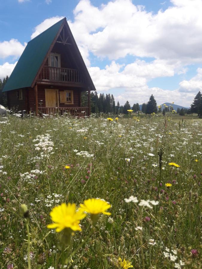 Holiday Home Jabucilo Žabljak Extérieur photo